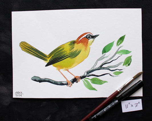 Watercolor bird