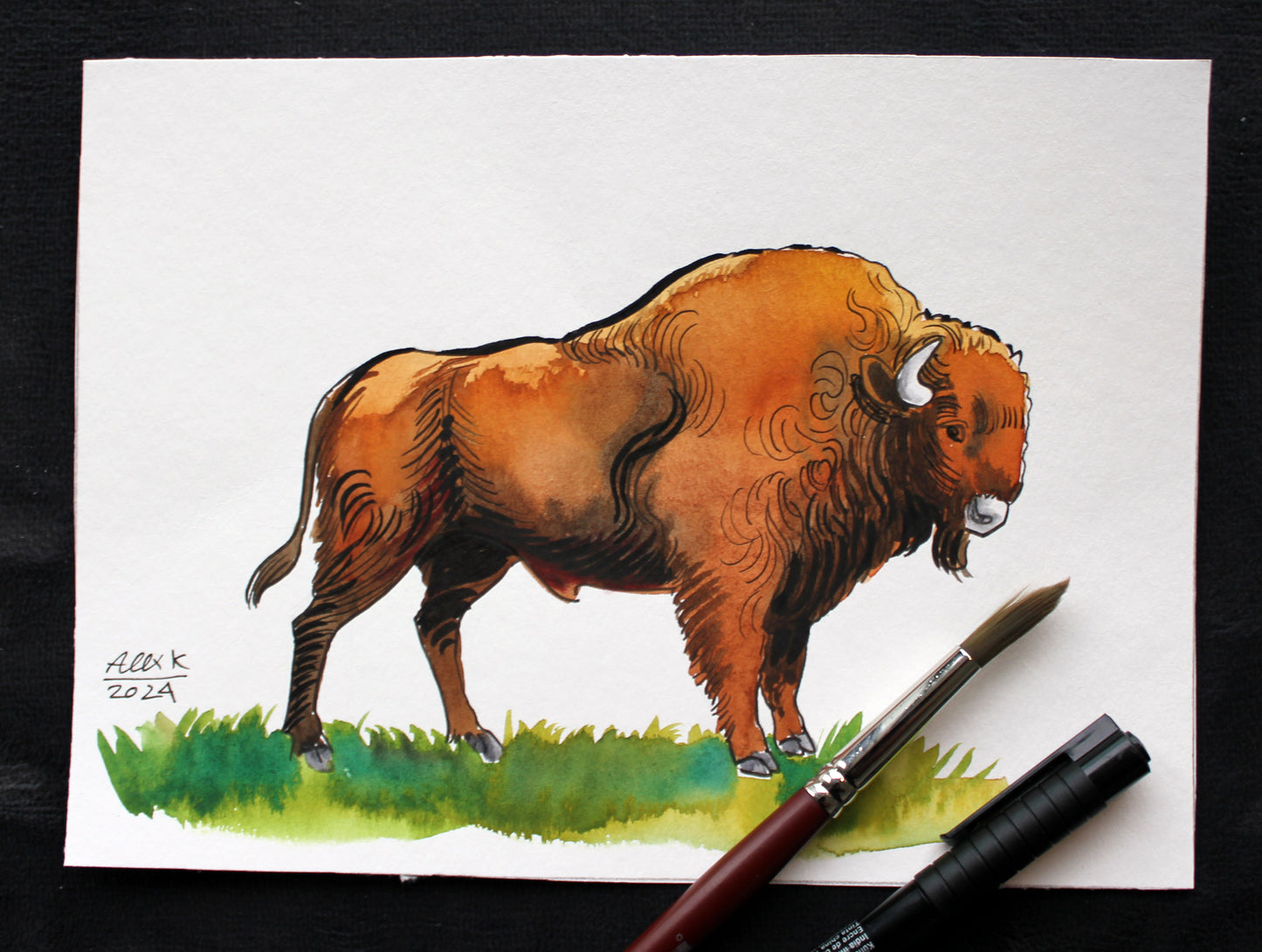 Watercolor sketch of a bison