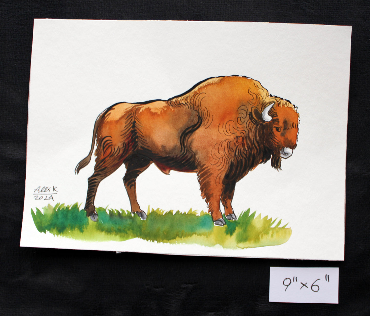 Watercolor sketch of a bison