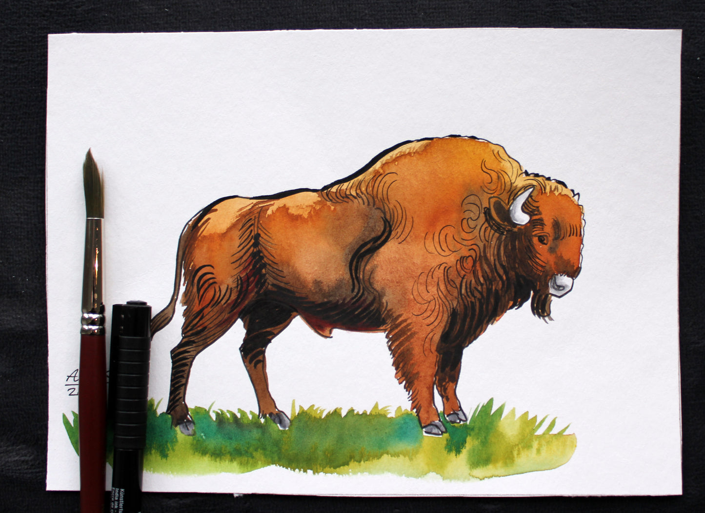 Watercolor sketch of a bison