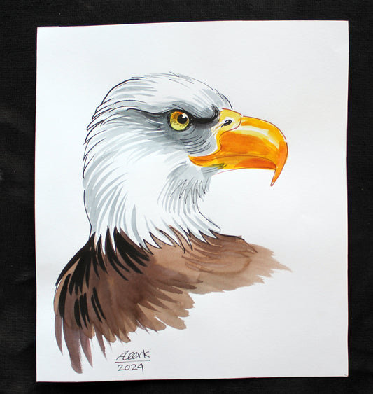 Watercolor eagle. Original art