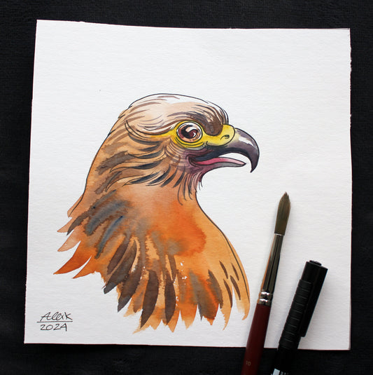 Watercolor falcon. Original art