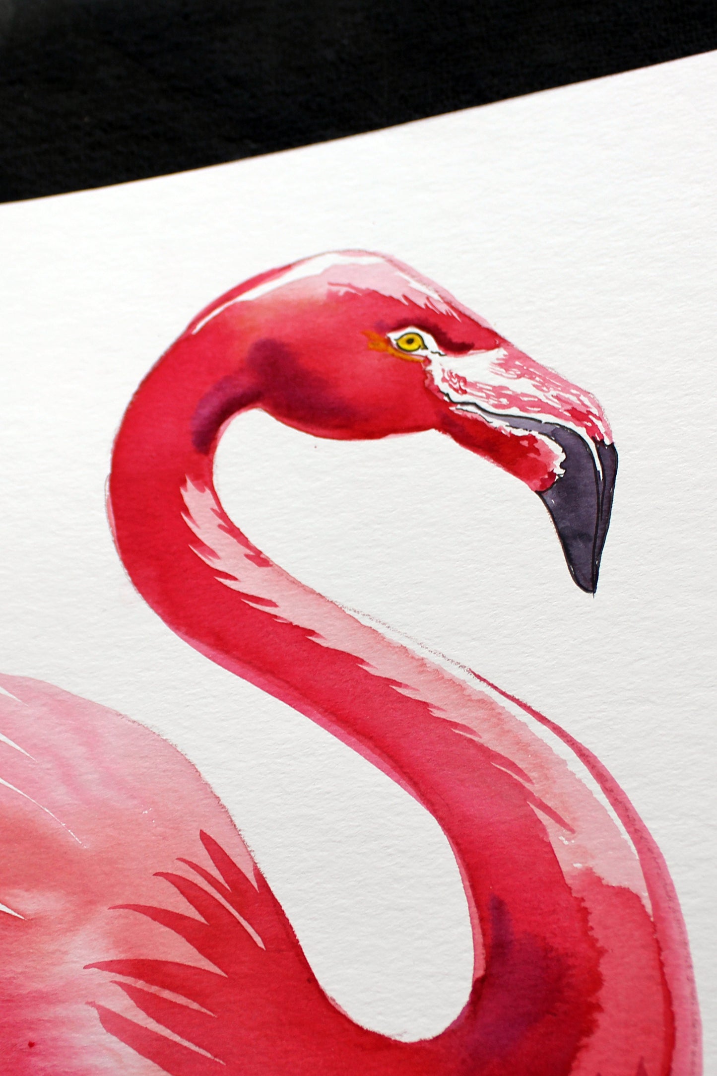 Watercolor flamingo. Original art