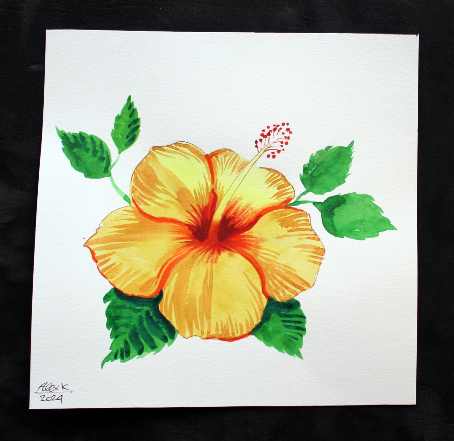 Watercolor hibiscus. Original art