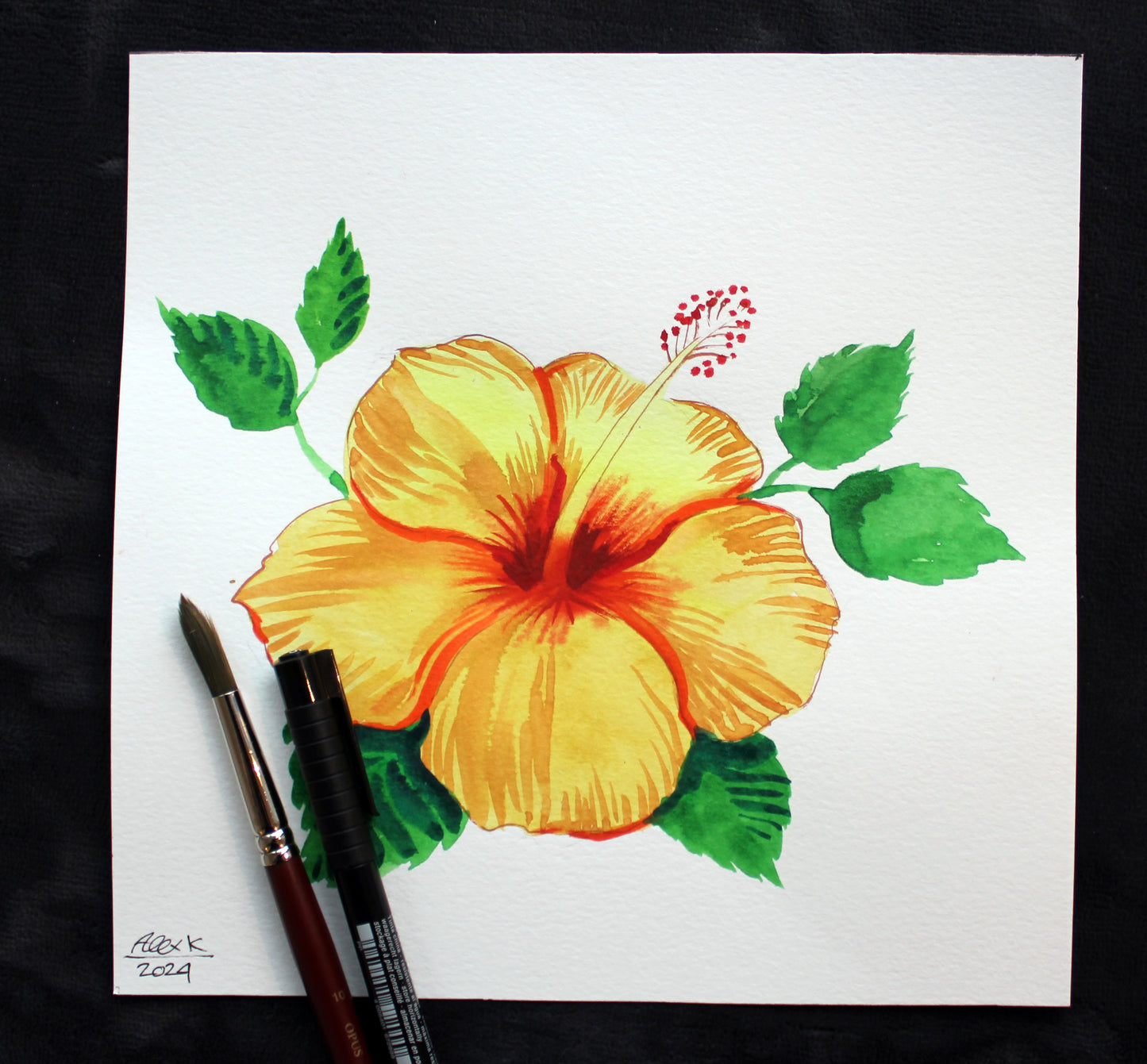 Watercolor hibiscus. Original art