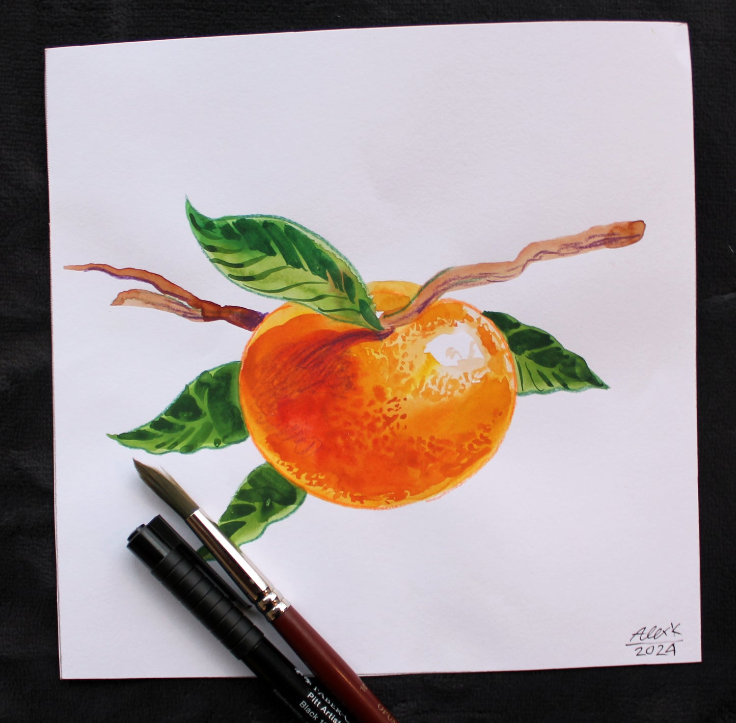 Watercolor mandarin