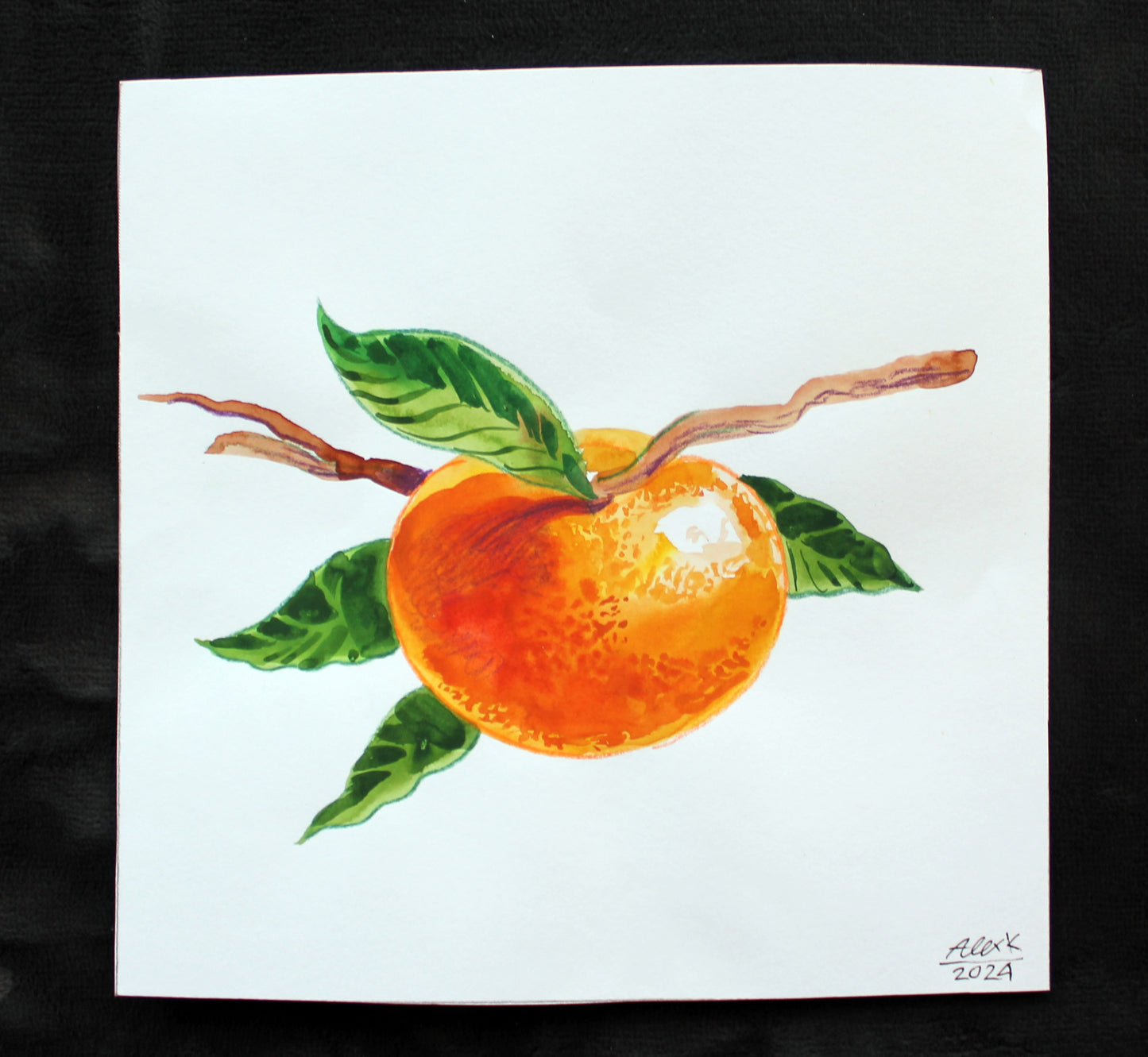 Watercolor mandarin