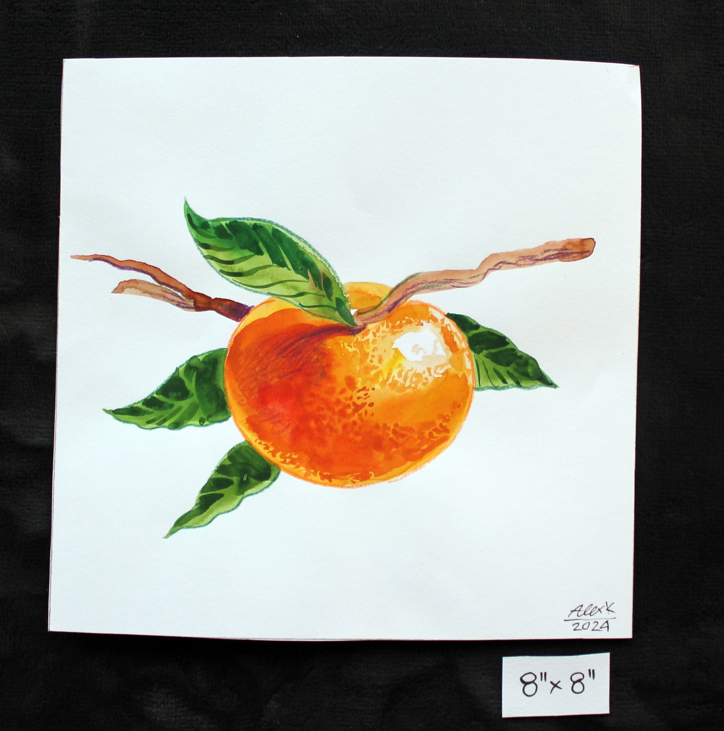 Watercolor mandarin