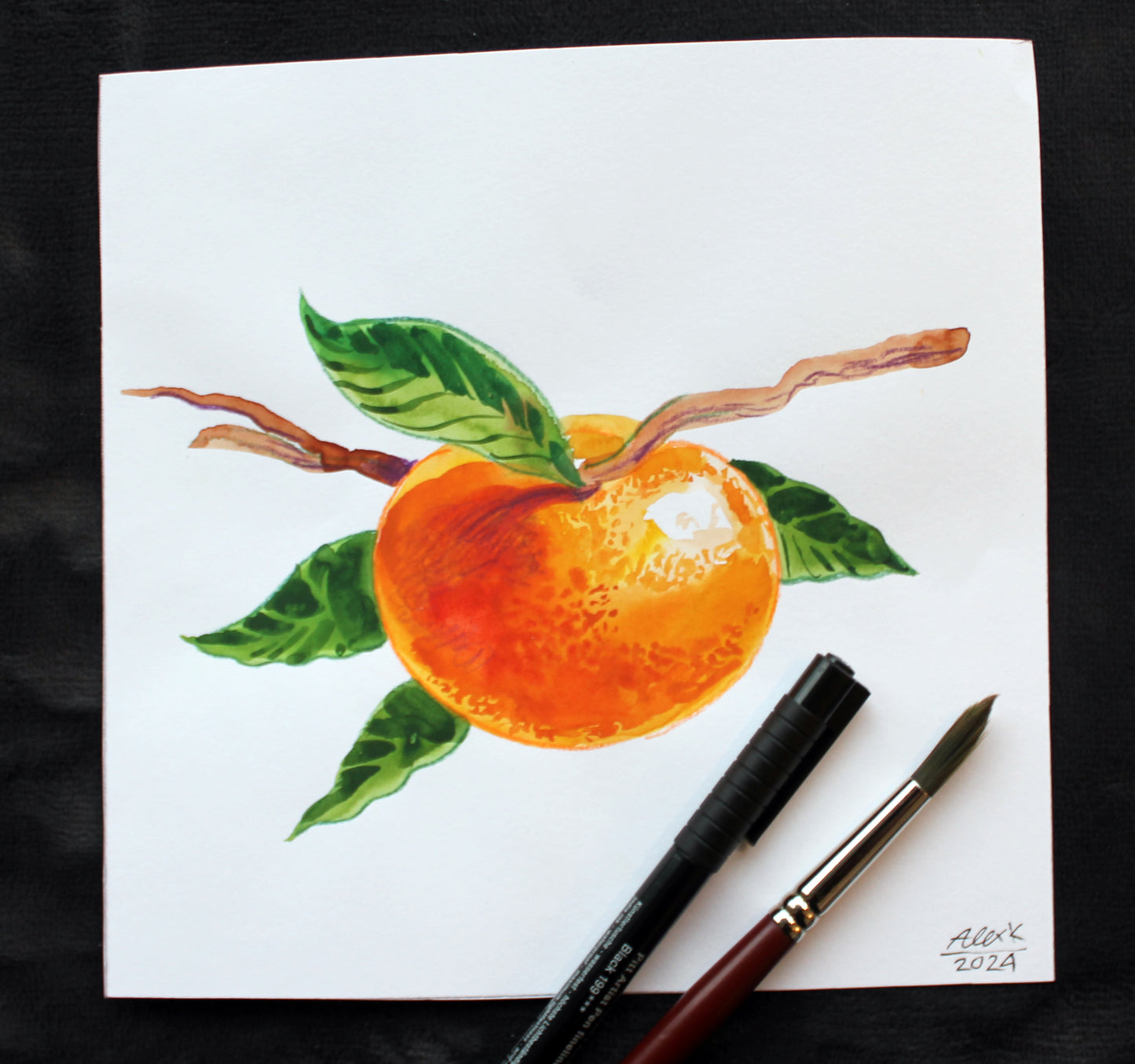 Watercolor mandarin