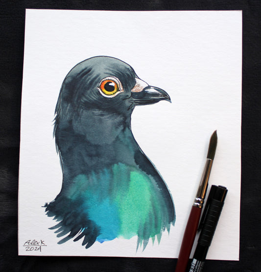 Watercolor pigeon. Original art