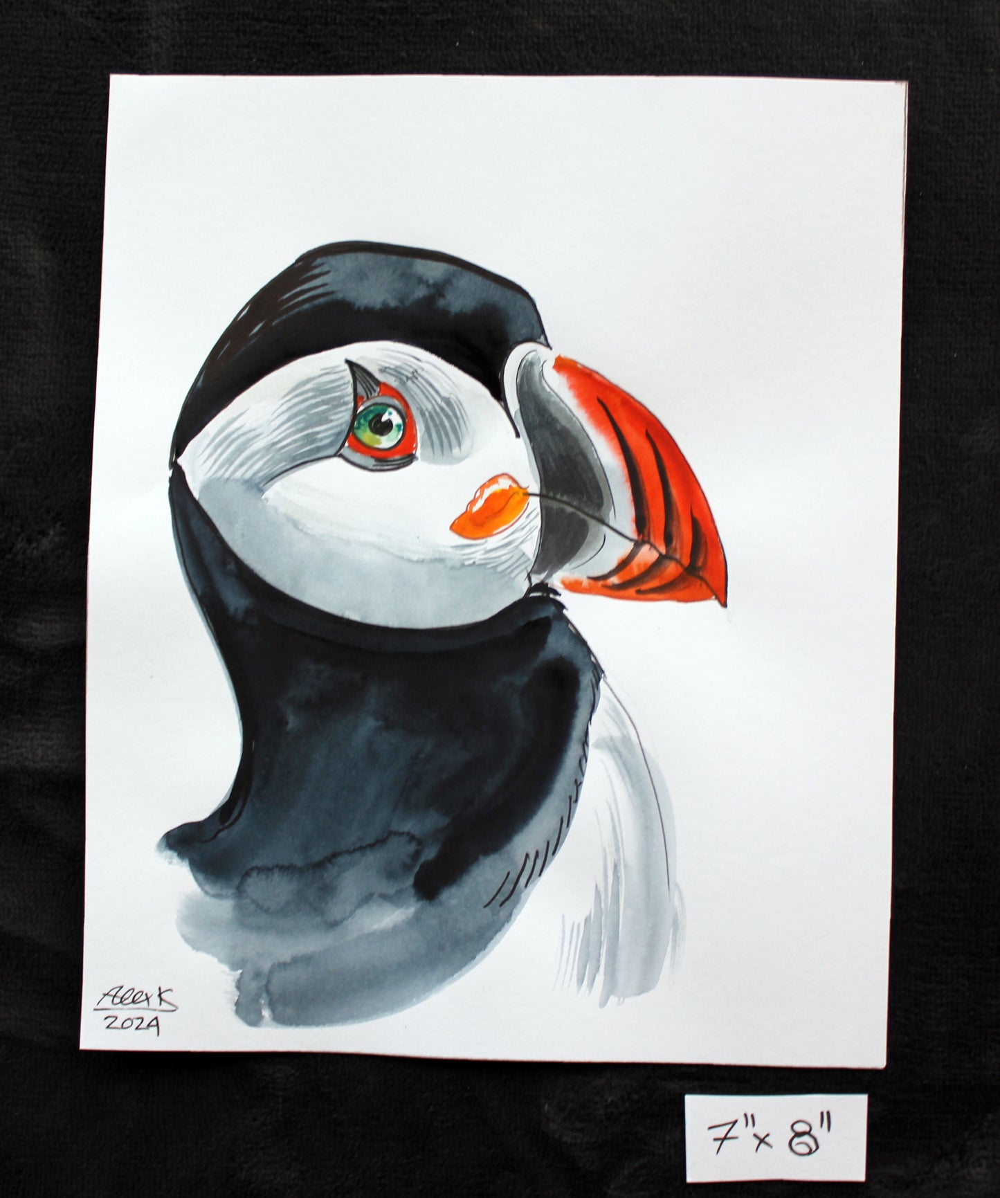 Watercolor puffin. Original art