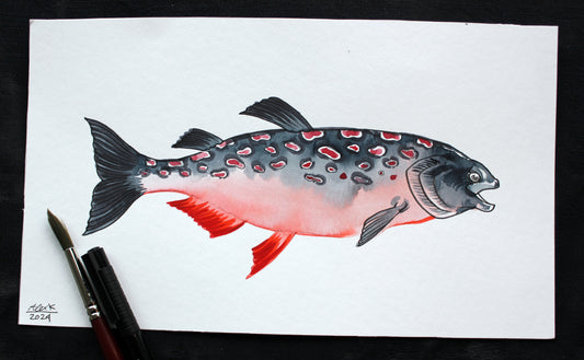 Watercolor salmon fish. Original art