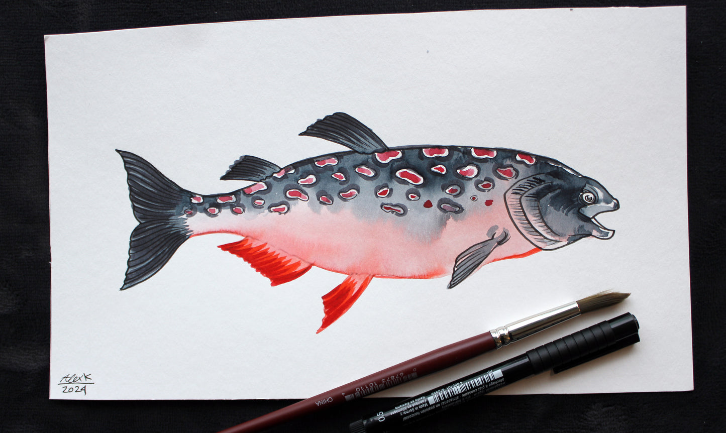 Watercolor salmon fish. Original art