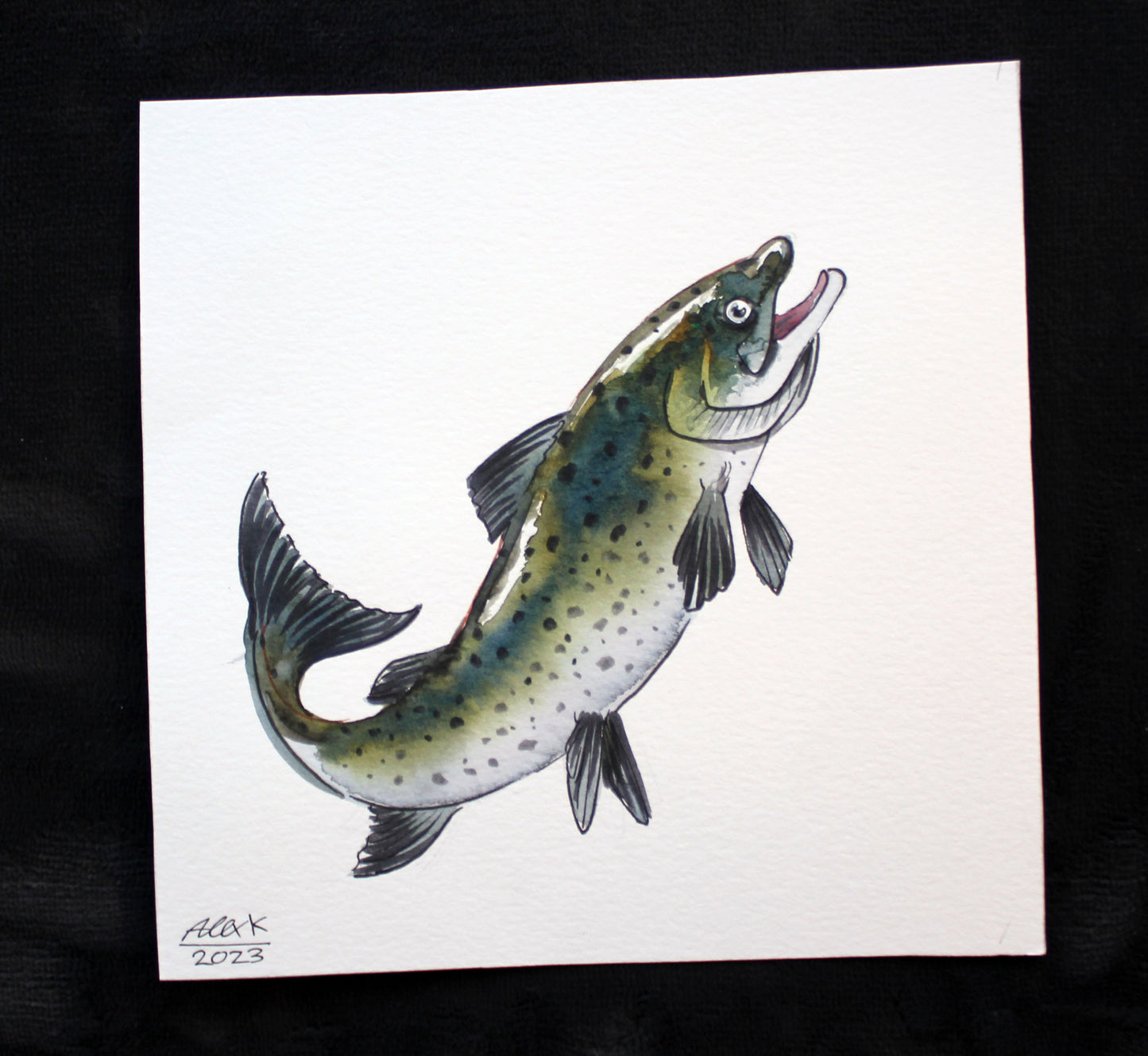 Watercolor salmon fish. Original art