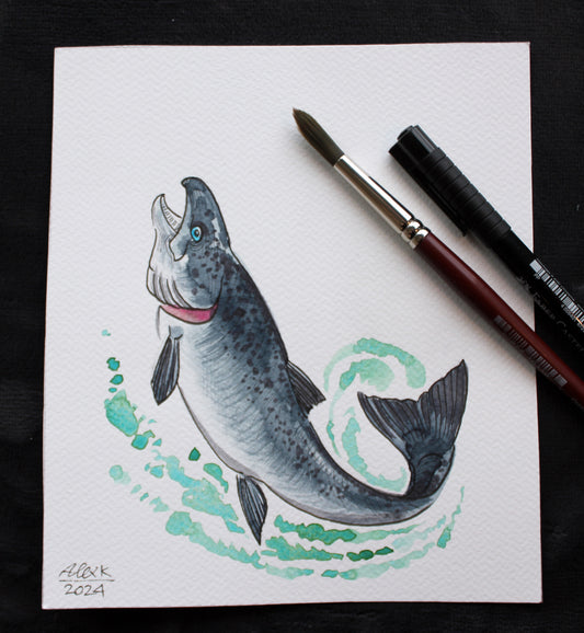 Watercolor salmon