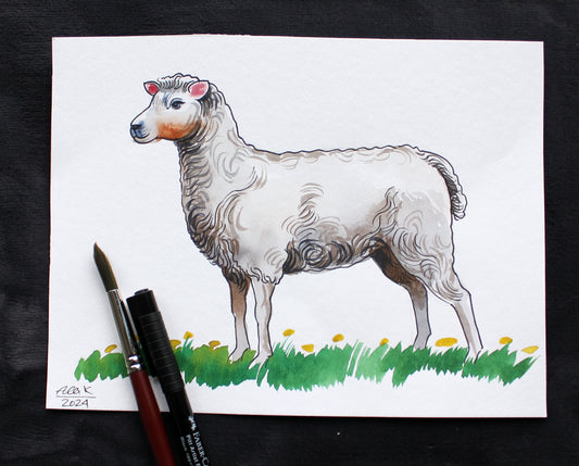 Watercolor sheep. Original art