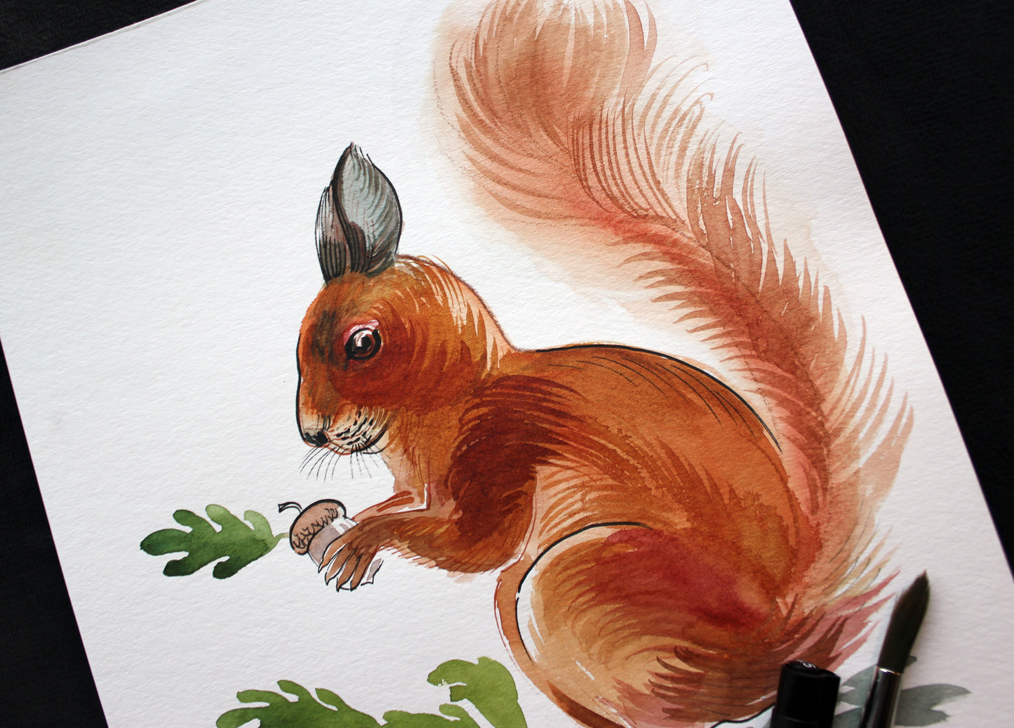 Watercolor squirrel. Original art