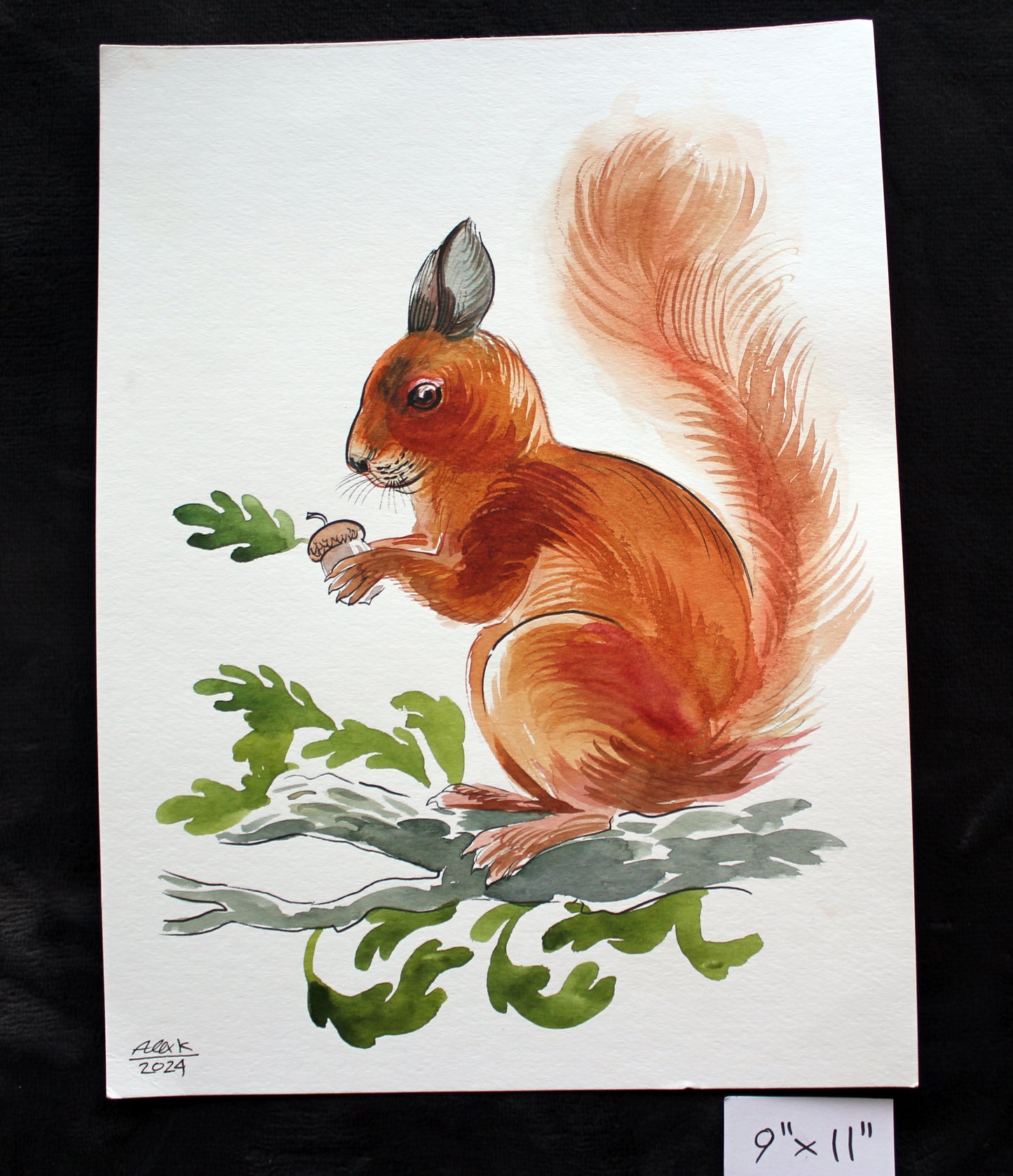 Watercolor squirrel. Original art