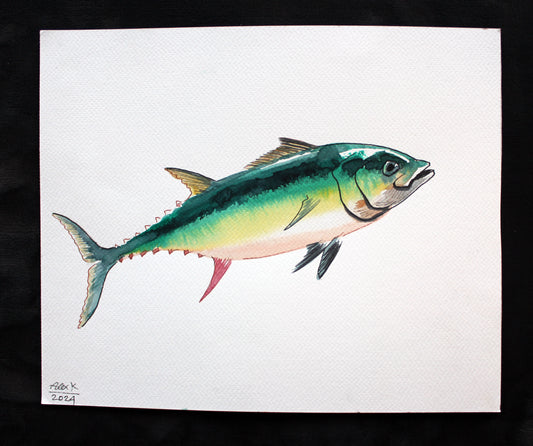 Watercolor tuna. Original art